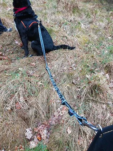 Ligne de trait Manmat sortie rando