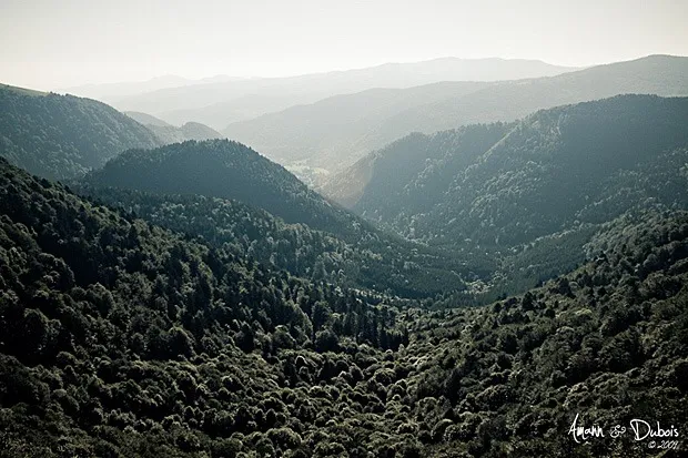 Mittlach au fond dans la vallée